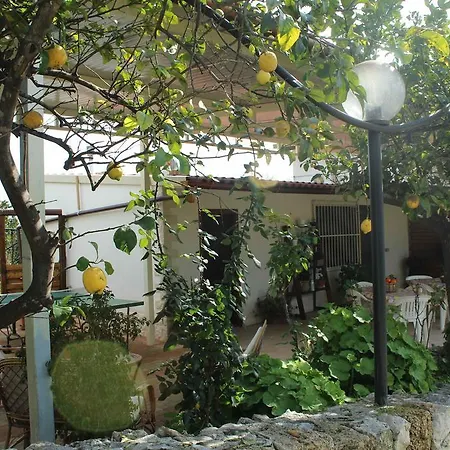 Belfronte