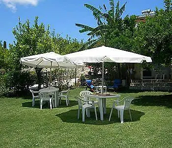 Belfronte