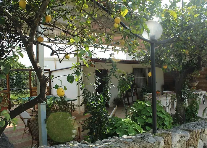 Belfronte